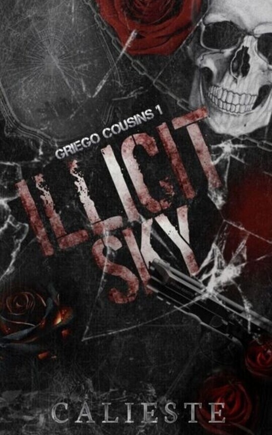 Illicit Sky