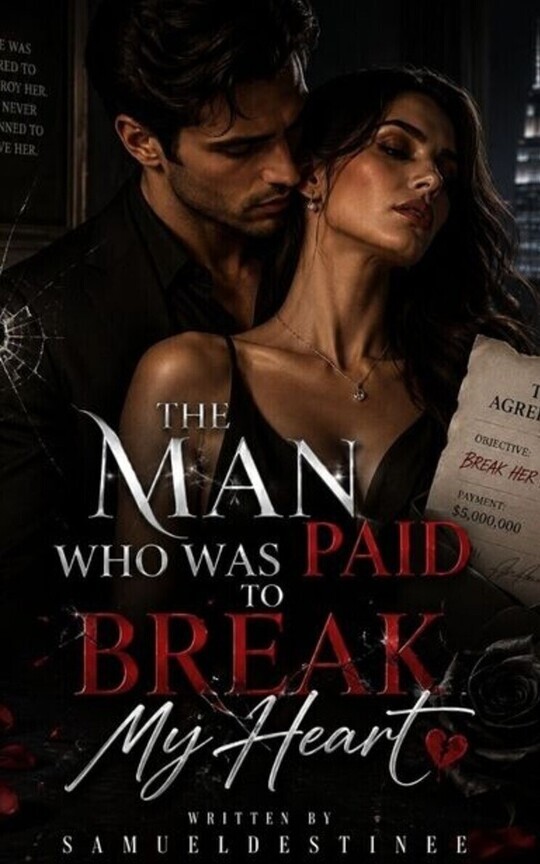 THE MAN WHO WAS PAID TO BREAK MY HEART