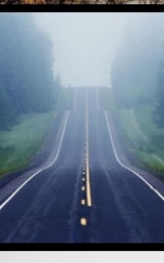 Dans le brouillard