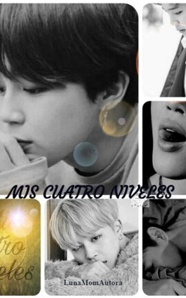 MIS CUATRO NIVELES