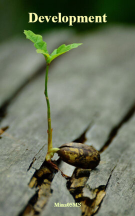 Development