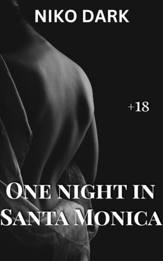 One night in Santa Monica