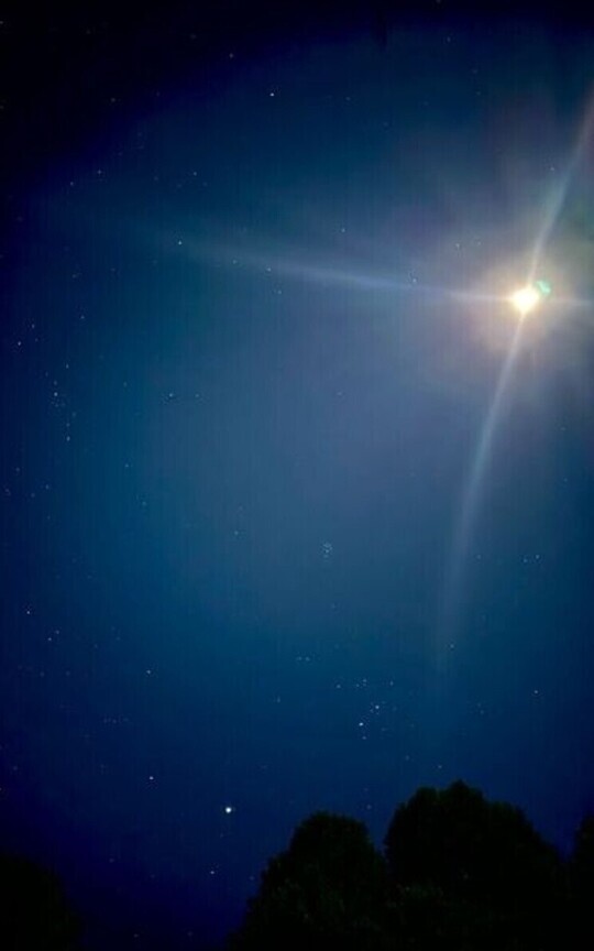 A Wish Upon Twilight 