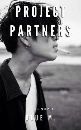 Project partners - boy×boy