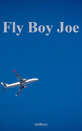 Fly Boy Joe