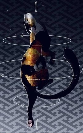 The cats of the stars