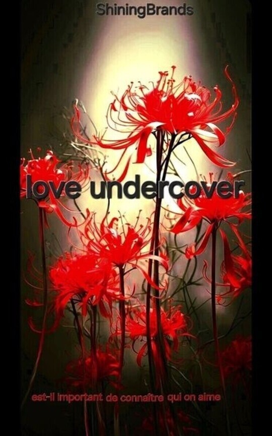 Love Undercover 