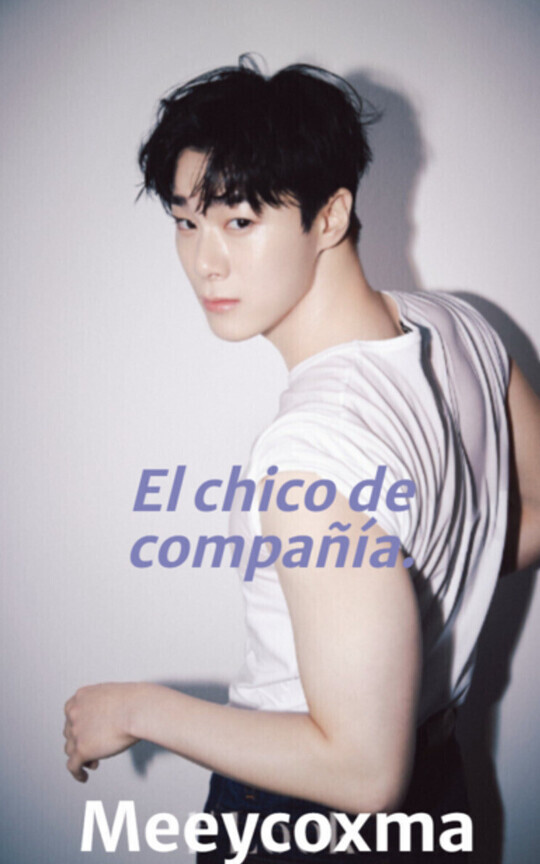 El chico de compañía.