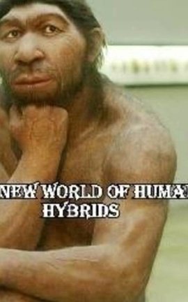 The New World of Urban Hybrids
