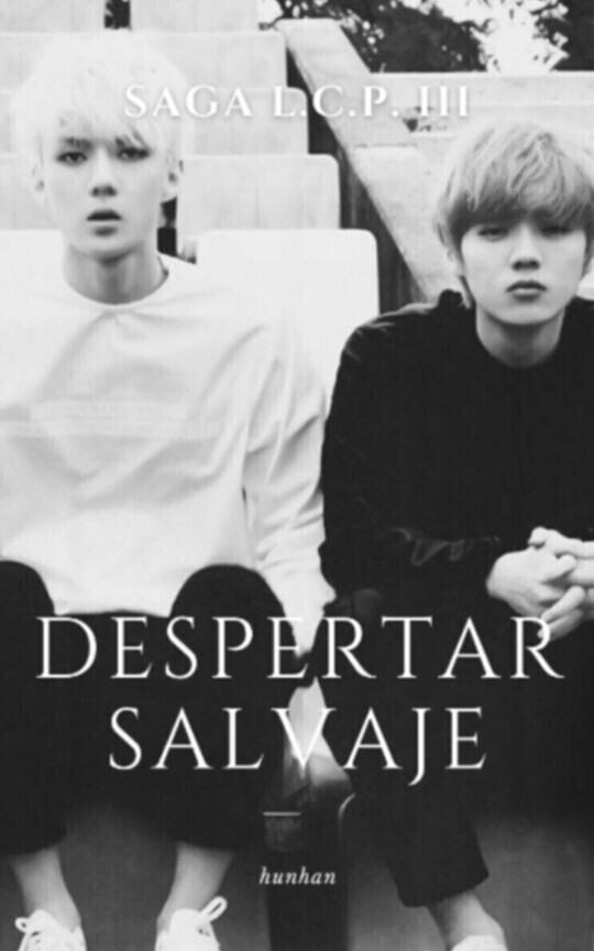 Saga L.P.C. III — Hunhan