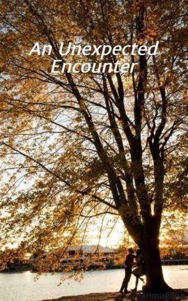An Unexpected Encounter