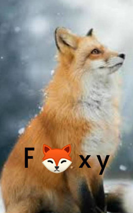 F 🦊 X Y