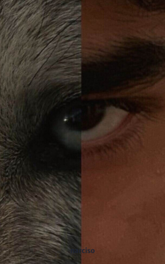 Feral.