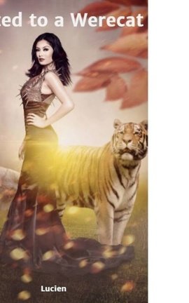 Mated to a Werecat