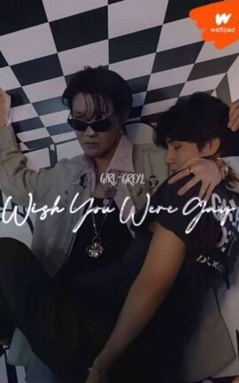 Wish You Were Gay [VHope]