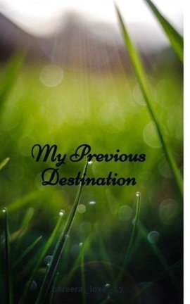 My Previous Destination