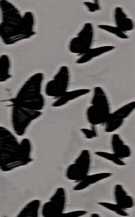 Butterfly | vhope