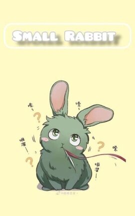 Small Rabbit