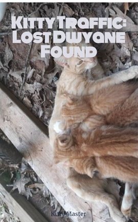 Kitty Traffic: Lost Dwyane Found
