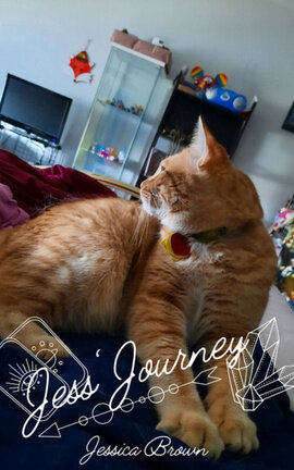 Jess' Journey