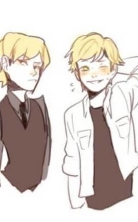 Arranged Marriage (Felix x reader. MLB fanfic) 