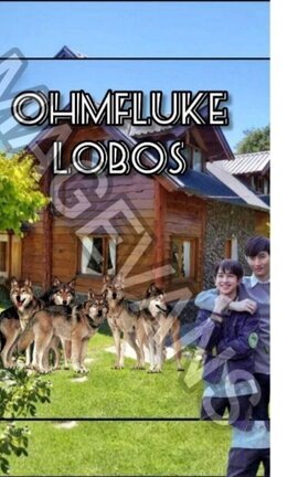 1. OhmFluke. Lobos