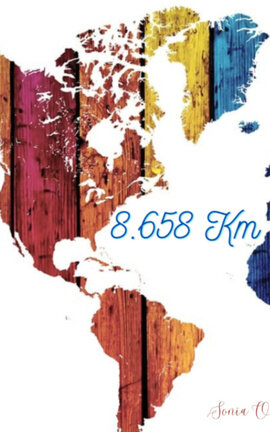 8.658 Km