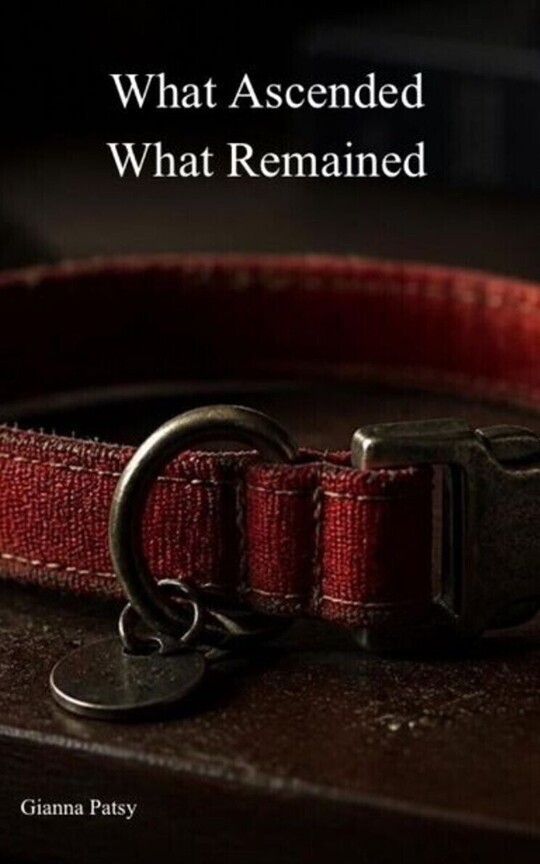 What Ascended, What Remained