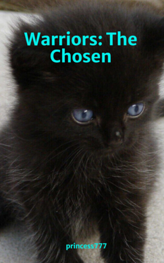 Warriors: The Chosen