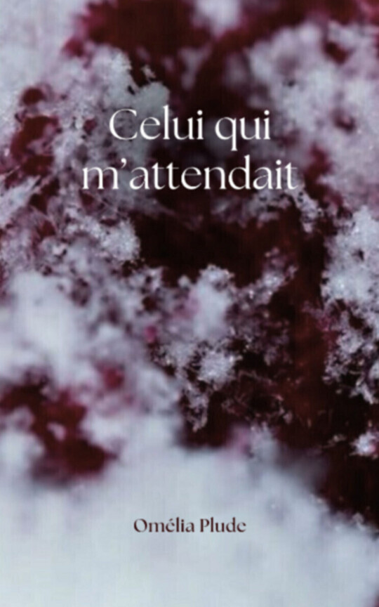 Celui qui m'attendait