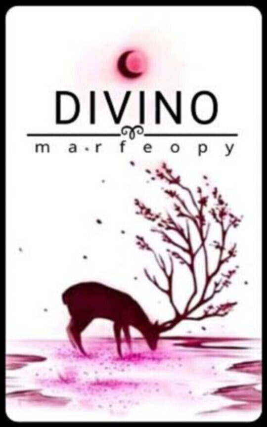 HARCO// Divino Velam