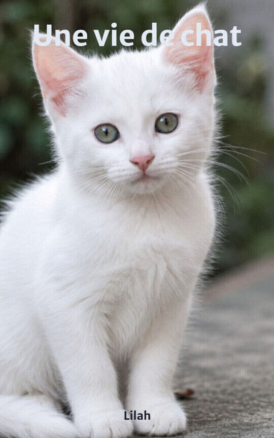 Une vie de chat