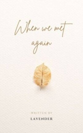 When We Met Again (Killer and Healer)