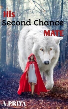 His Second Chance Mate 
