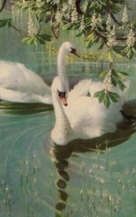 — wet dreams : taekook (boypussy)