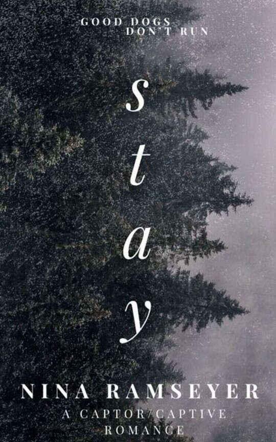 Stay (A Captor/Captive Romance) 