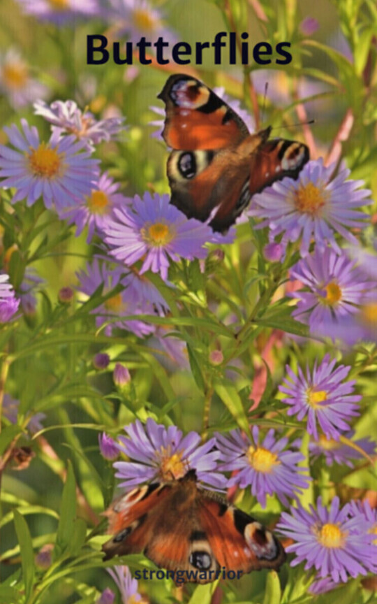 Butterflies
