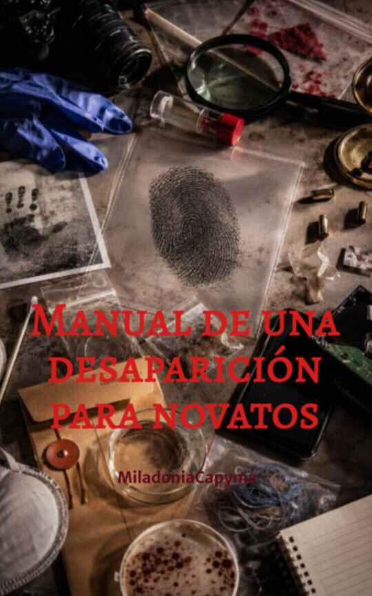 Manual de una desaparición para novatos