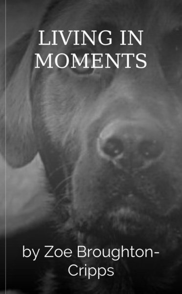 LIVING IN MOMENTS