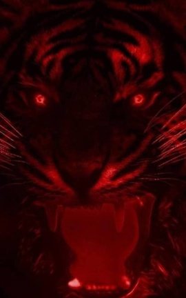 The Life of a Demon Warrior
