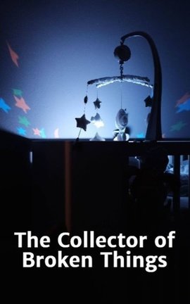 The Collector of Broken Things