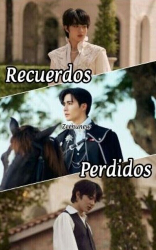Recuerdos perdidos