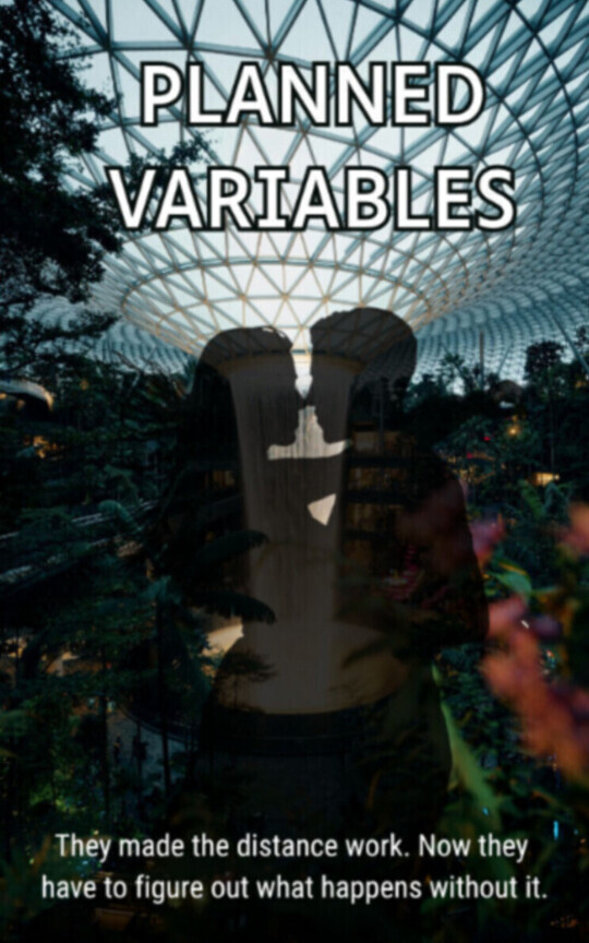 Planned Variables - An international romance (M18+)