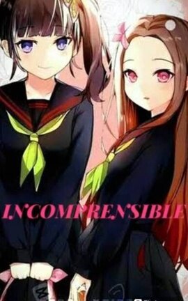 INCOMPRENSIBLE 