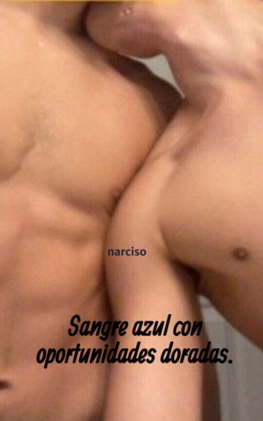 Sangre azul con oportunidades doradas.