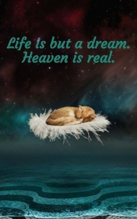 Life is but a dream. Heaven is real.