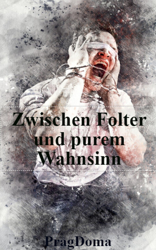 Zwischen Folter und purem Wahnsinn /Final Fantasy