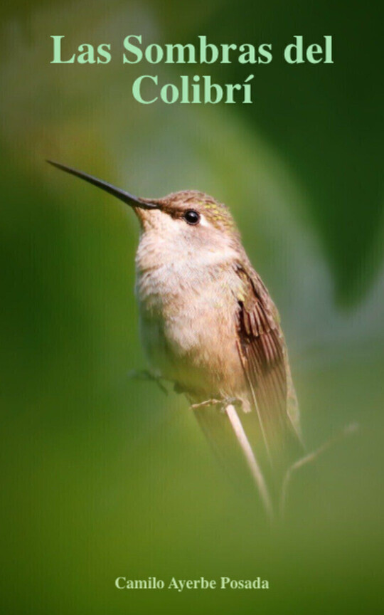 Las Sombras del Colibrí