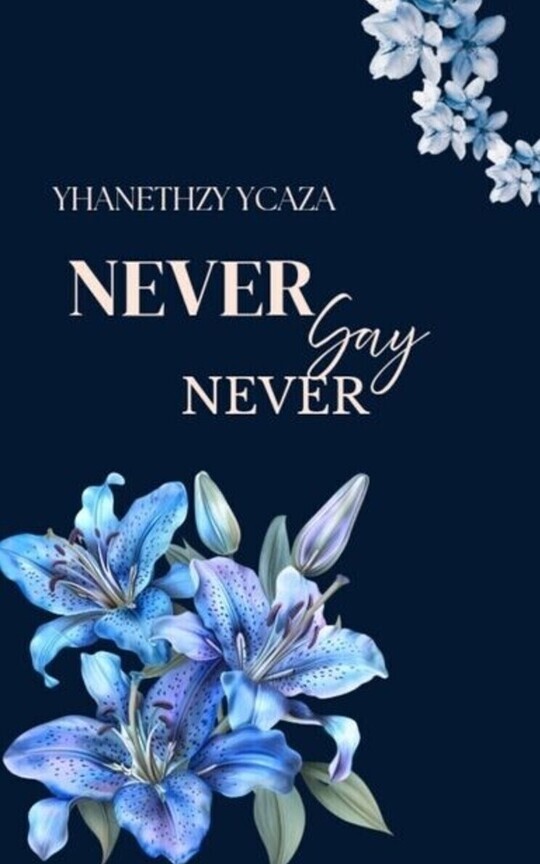 Never Say Never 