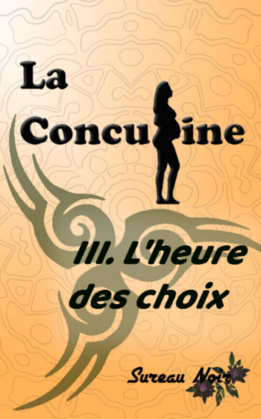 La Concubine 3 - L'heure des choix